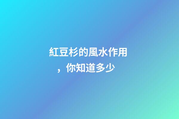 紅豆杉的風水作用，你知道多少